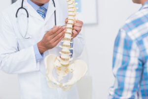 Spine Doctor showing anatomical spine to his patient